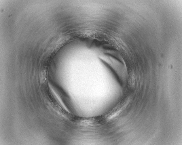 X0000088890236200706221847