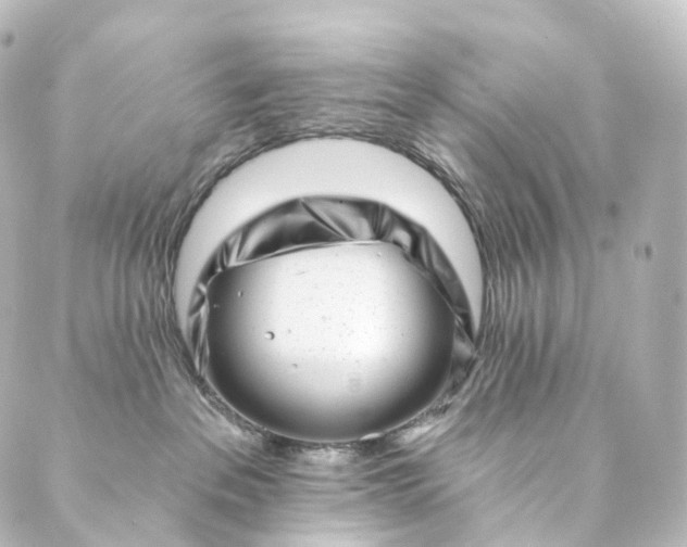 X0000088890237200706221847