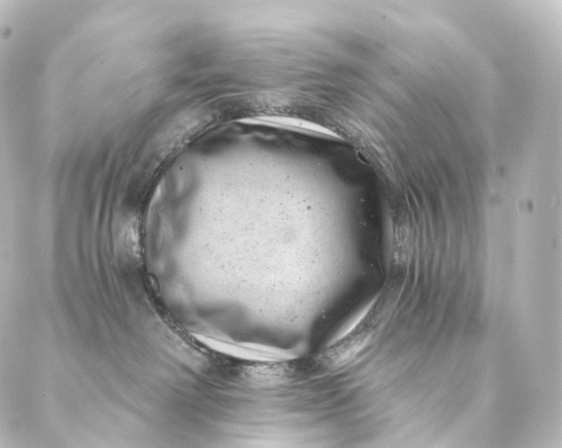 X0000088890238200706221847