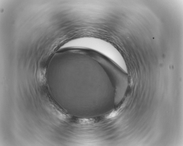 X0000088890239200706221847