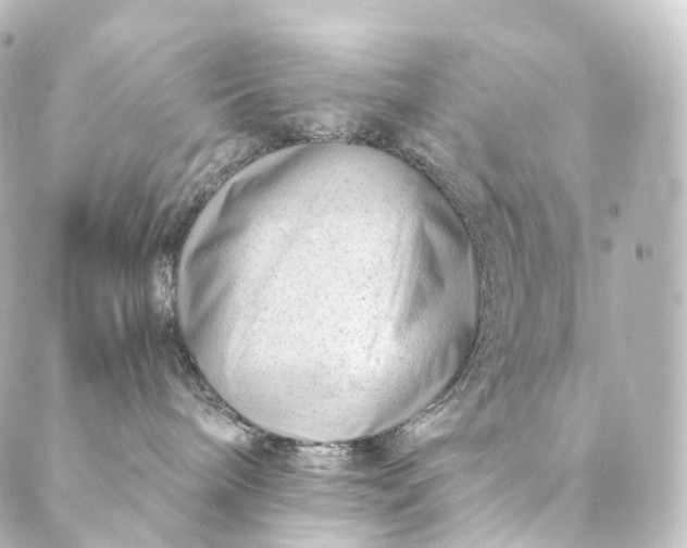 X0000088890240200706221847