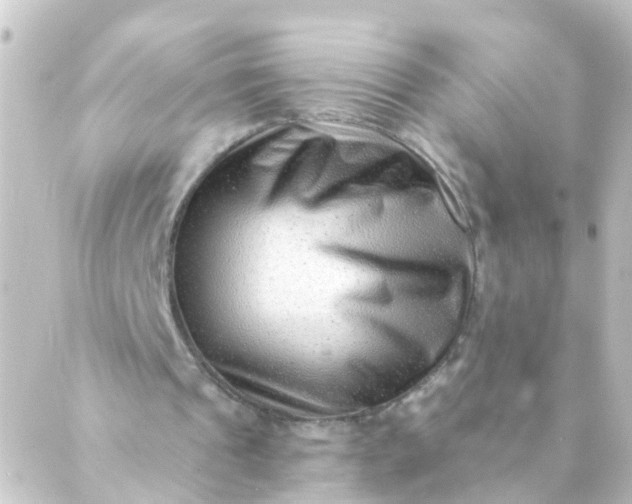 X0000088890241200706221847