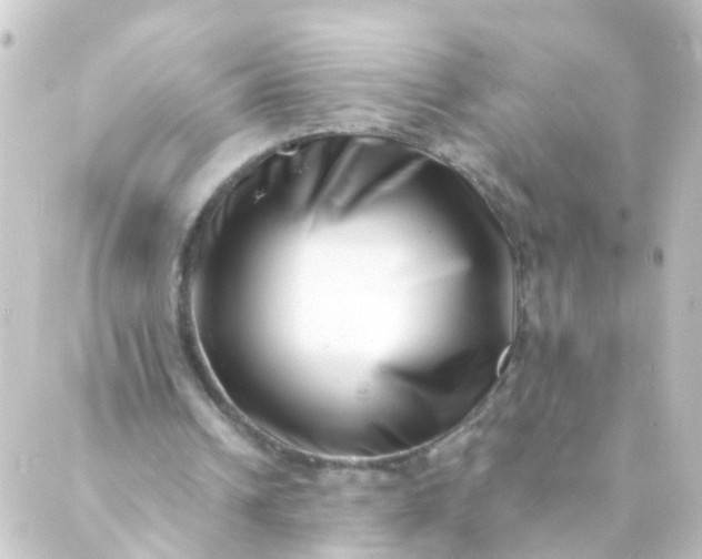 X0000088890242200706221847