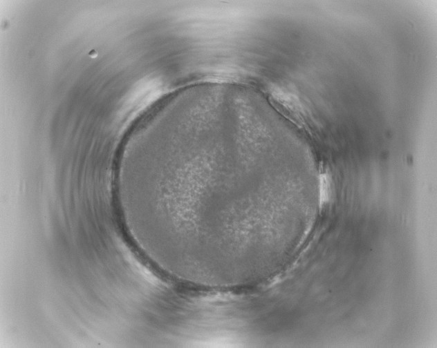 X0000088890243200706221847