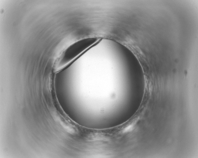 X0000088890244200706221847