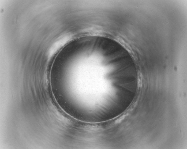 X0000088890245200706221847