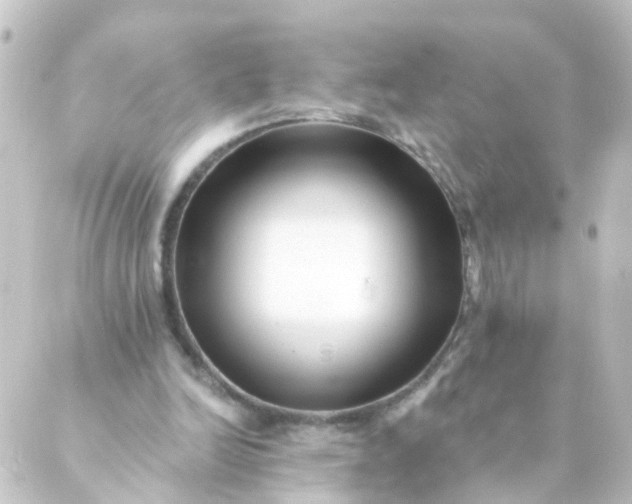 X0000088890246200706221847