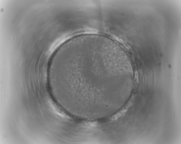 X0000088890247200706221847