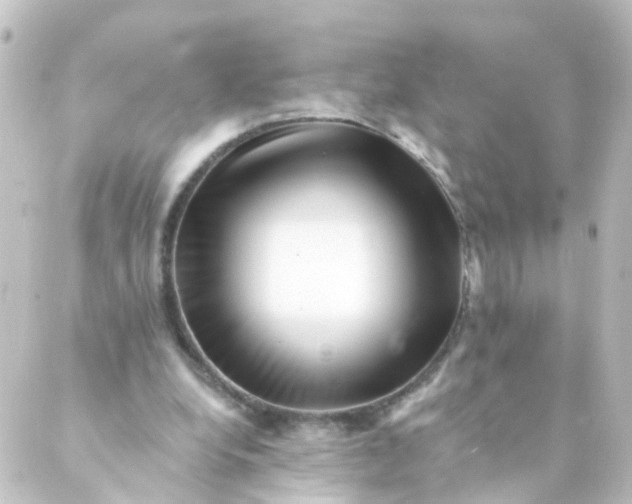 X0000088890248200706221847