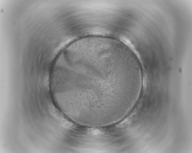 X0000088890249200706221847