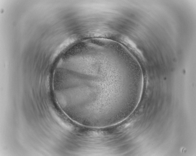 X0000088890250200706221847