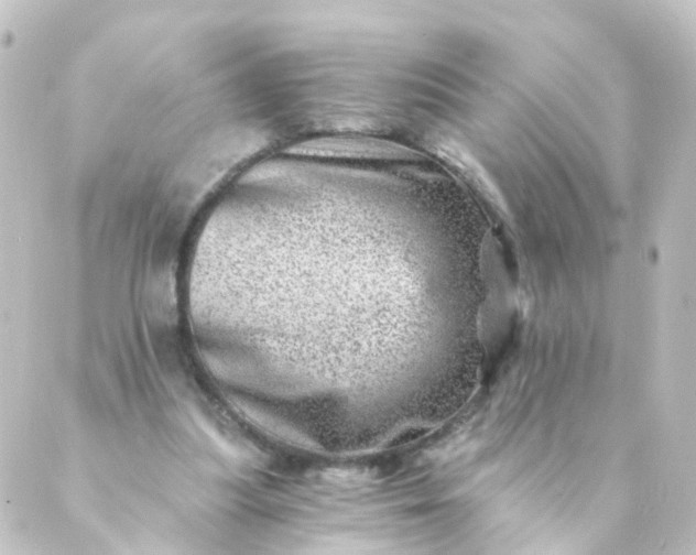 X0000088890251200706221847