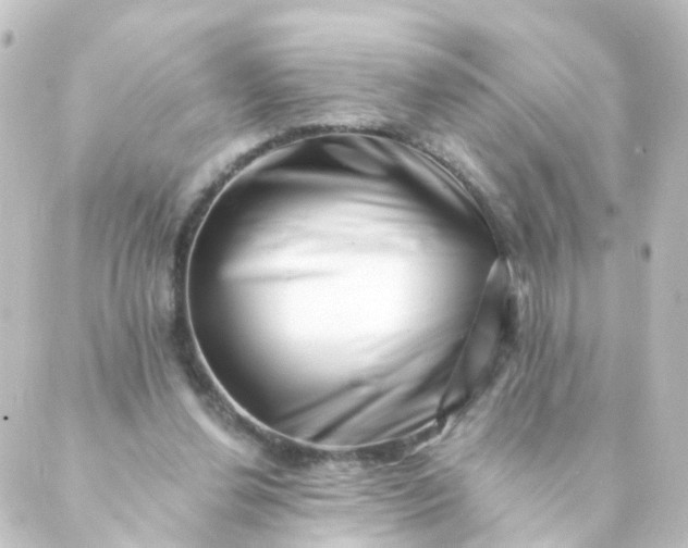 X0000088890252200706221847