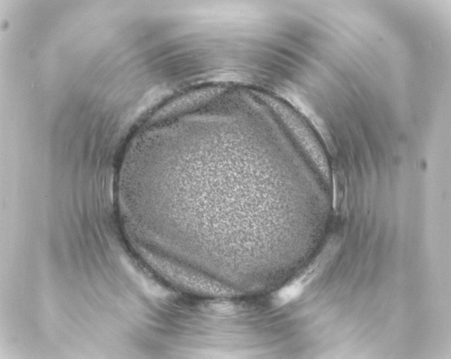 X0000088890253200706221847