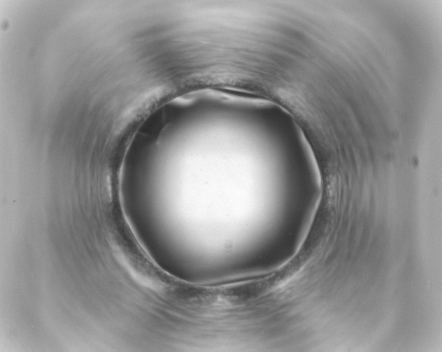 X0000088890254200706221847