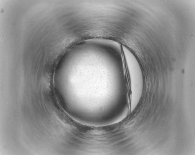 X0000088890255200706221847