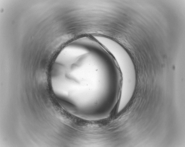 X0000088890256200706221847