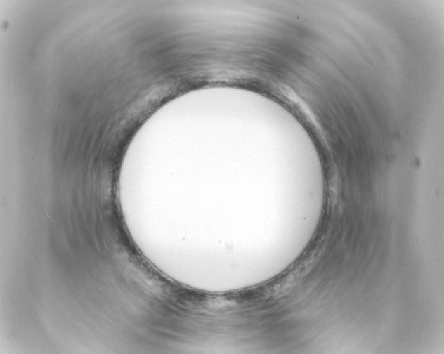 X0000088890257200706221847