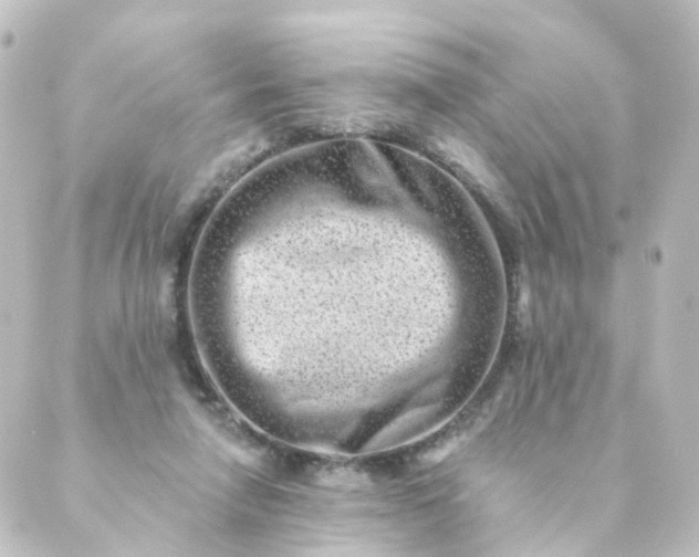 X0000088890258200706221847