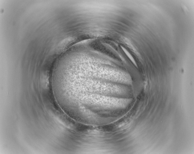 X0000088890259200706221847