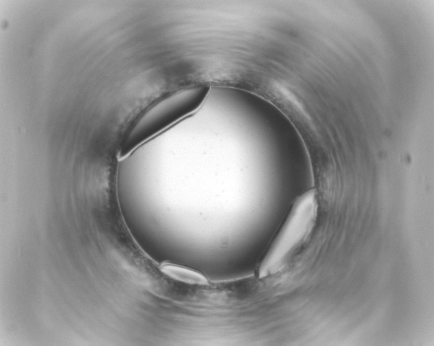 X0000088890260200706221847