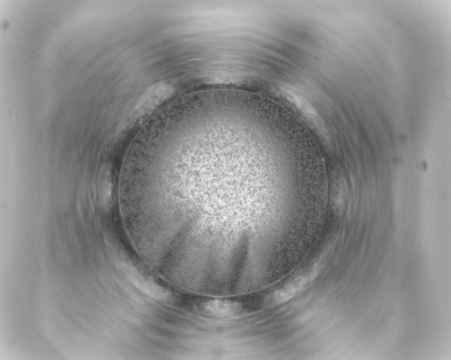 X0000088890261200706221847