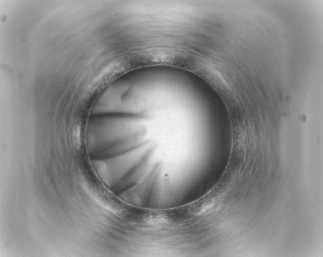 X0000088890262200706221847