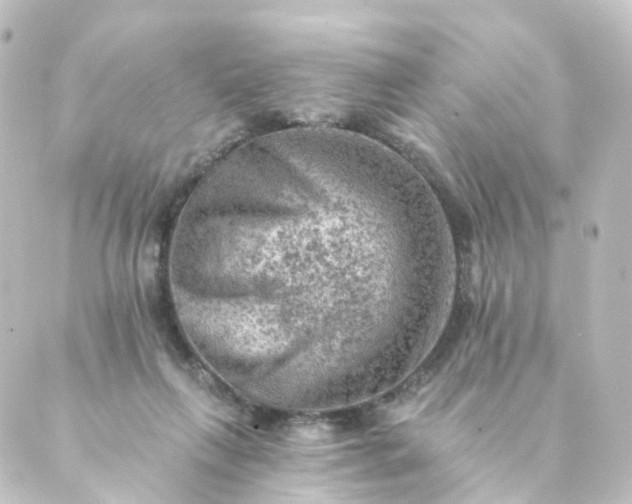 X0000088890263200706221847