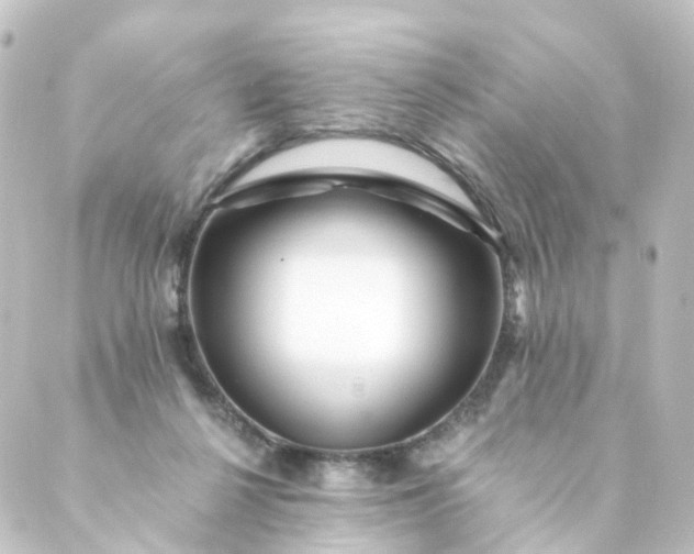 X0000088890264200706221847