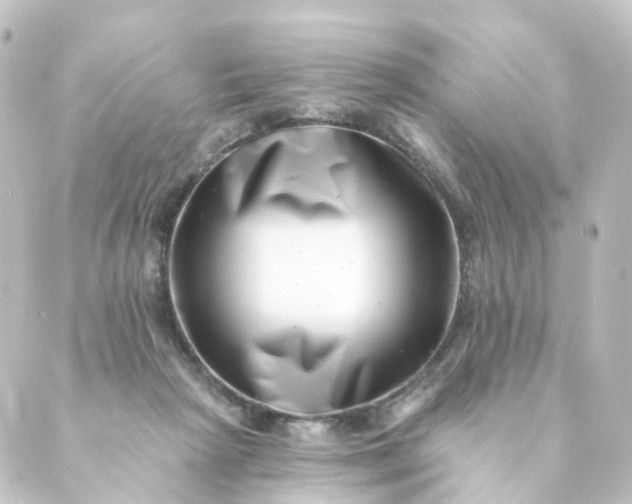 X0000088890265200706221847