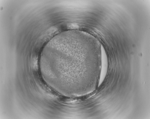 X0000088890267200706221847