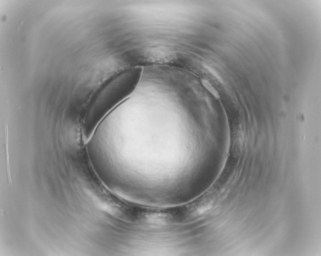 X0000088890268200706221847