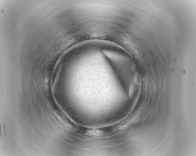 X0000088890269200706221847