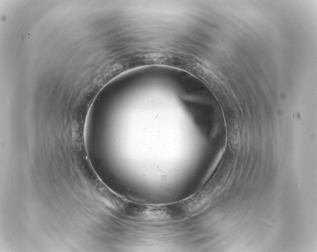 X0000088890270200706221847