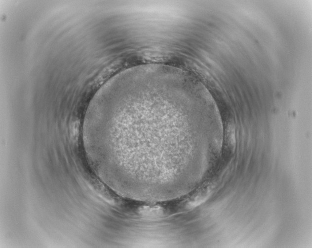 X0000088890271200706221847