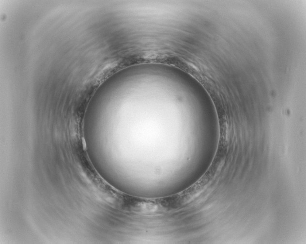 X0000088890272200706221847