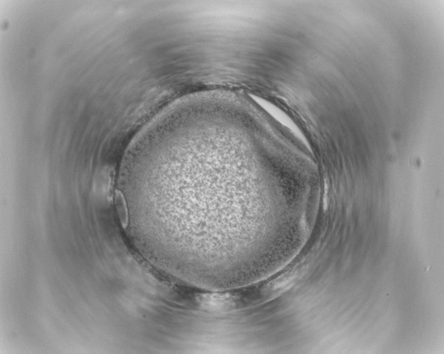 X0000088890273200706221847