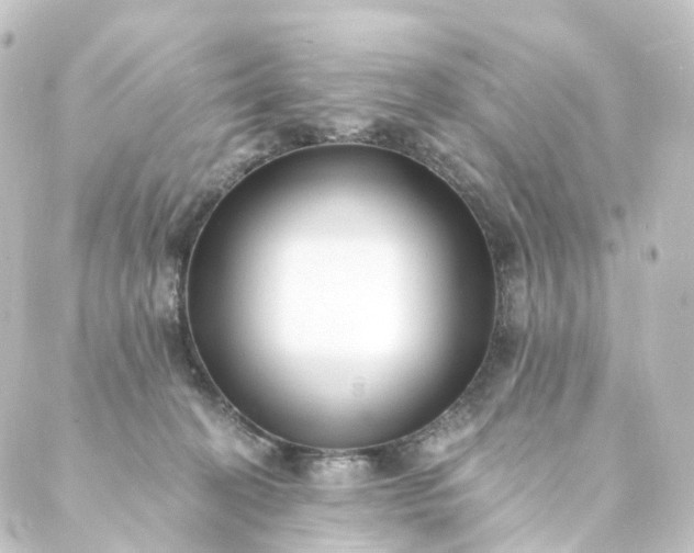 X0000088890274200706221847