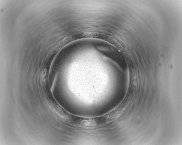 X0000088890275200706221847