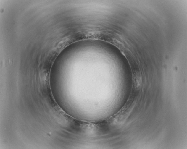 X0000088890276200706221847