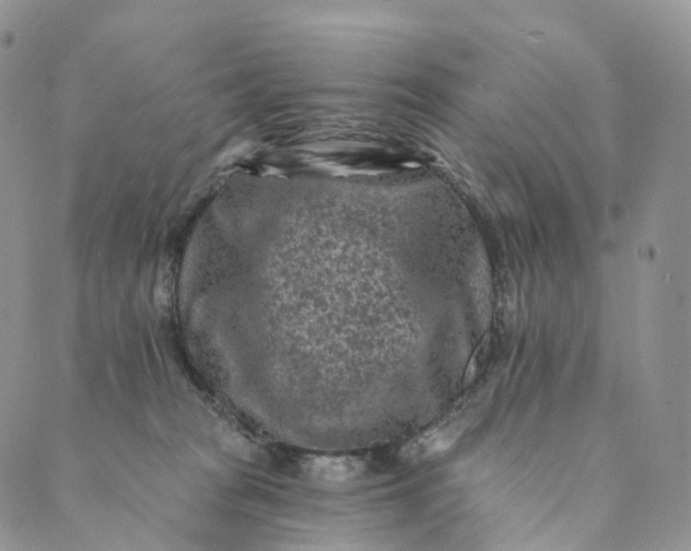 X0000088890277200706221847