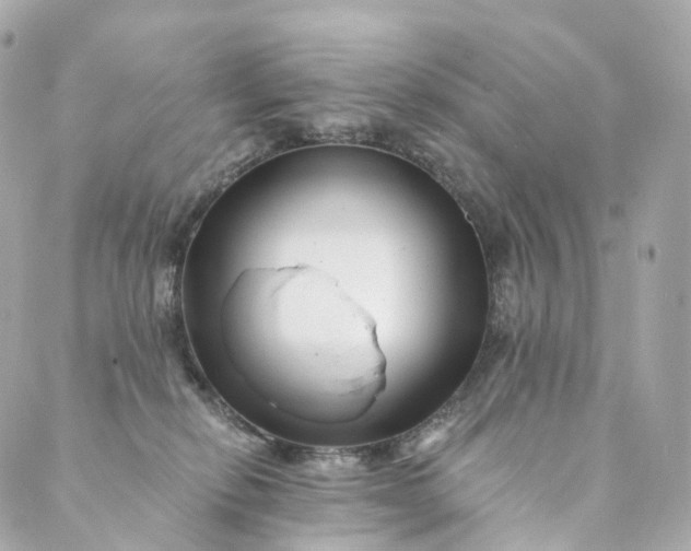 X0000088890278200706221847