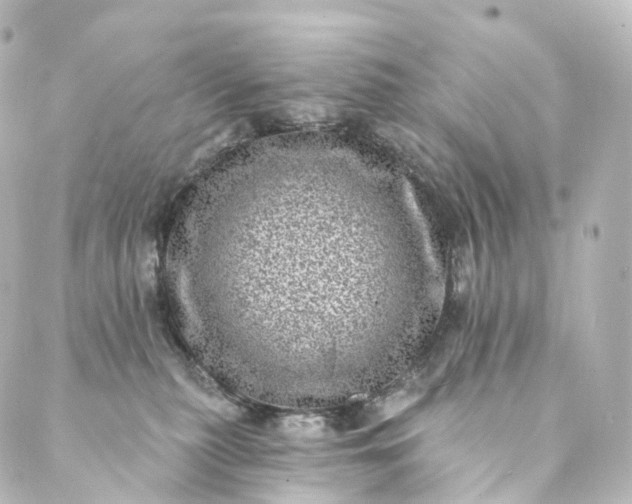 X0000088890279200706221847