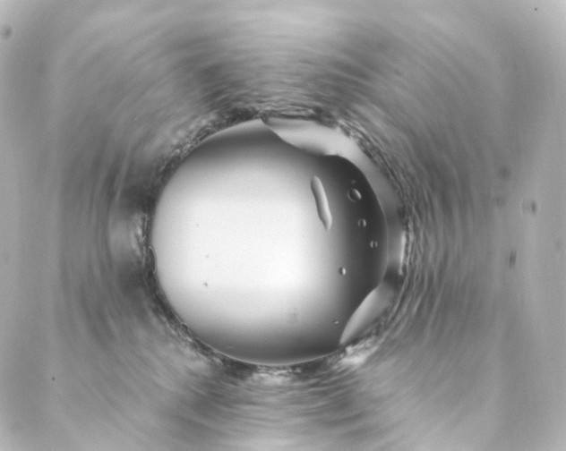 X0000088890280200706221847