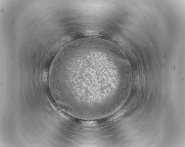 X0000088890281200706221847