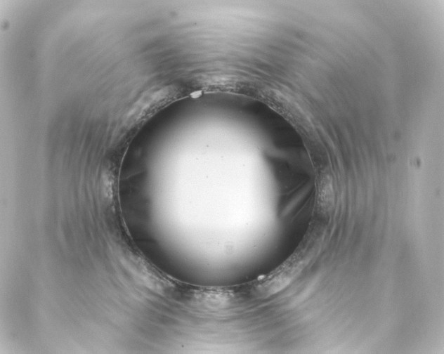 X0000088890282200706221847