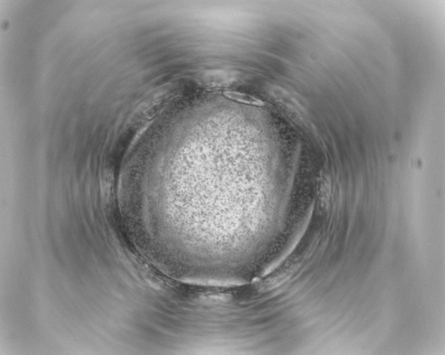 X0000088890283200706221847