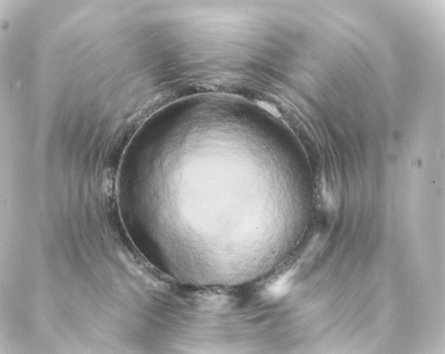 X0000088890284200706221847