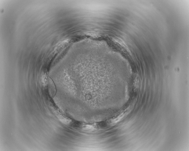 X0000088890285200706221847