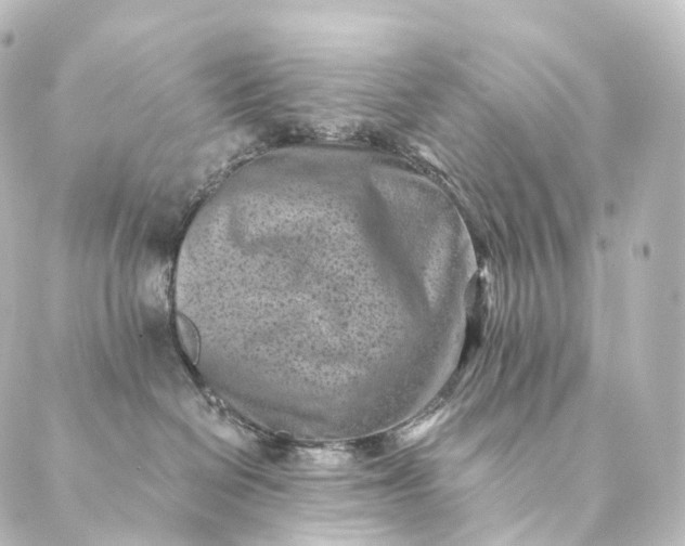 X0000088890286200706221847